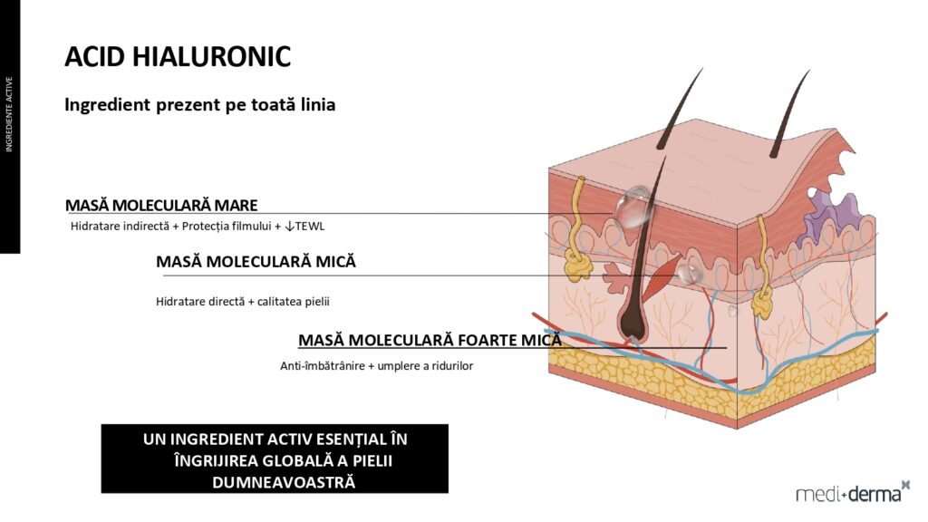 salon cosmetica sibiu global filler fillderma 33